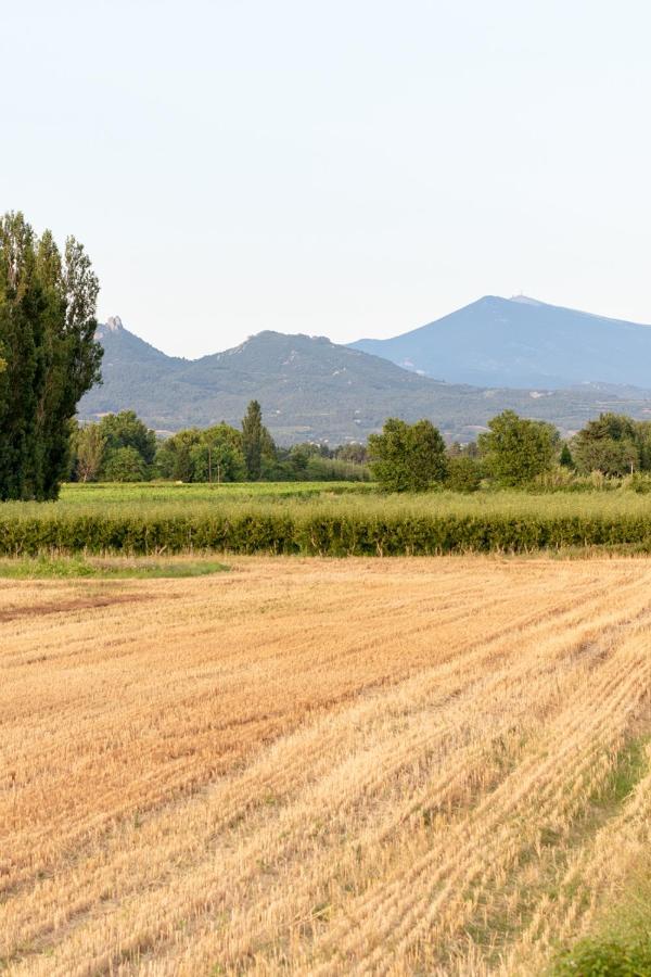 Mas Des Tourterelles Bed and Breakfast Jonquieres  Εξωτερικό φωτογραφία